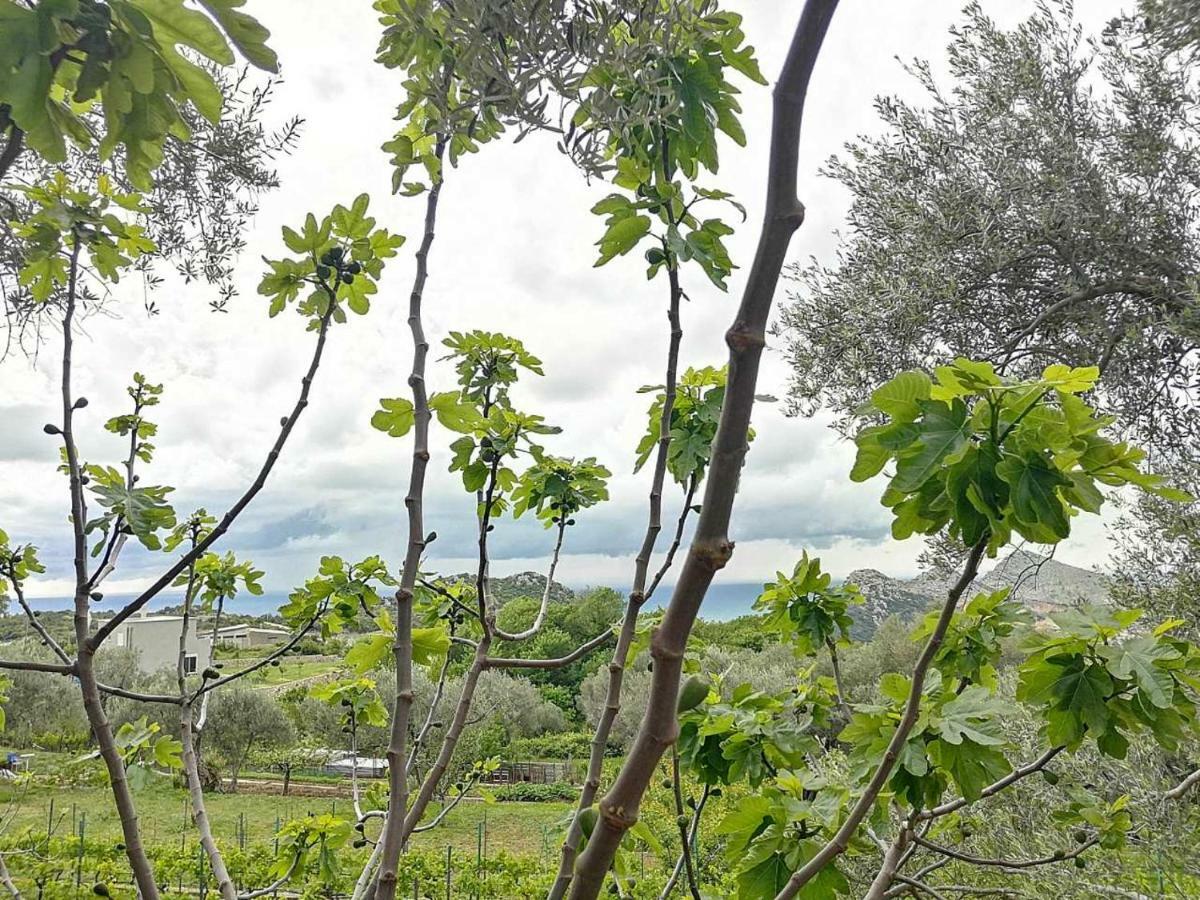 Apartman Nikocevic Dobra Voda Dış mekan fotoğraf